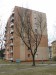 exterier_08
