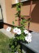 IMG_20180506_134707